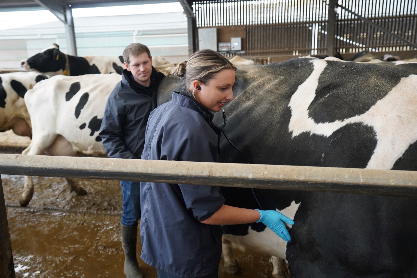 Farming Resilience Funding